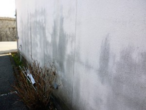 モルタル外壁カビ