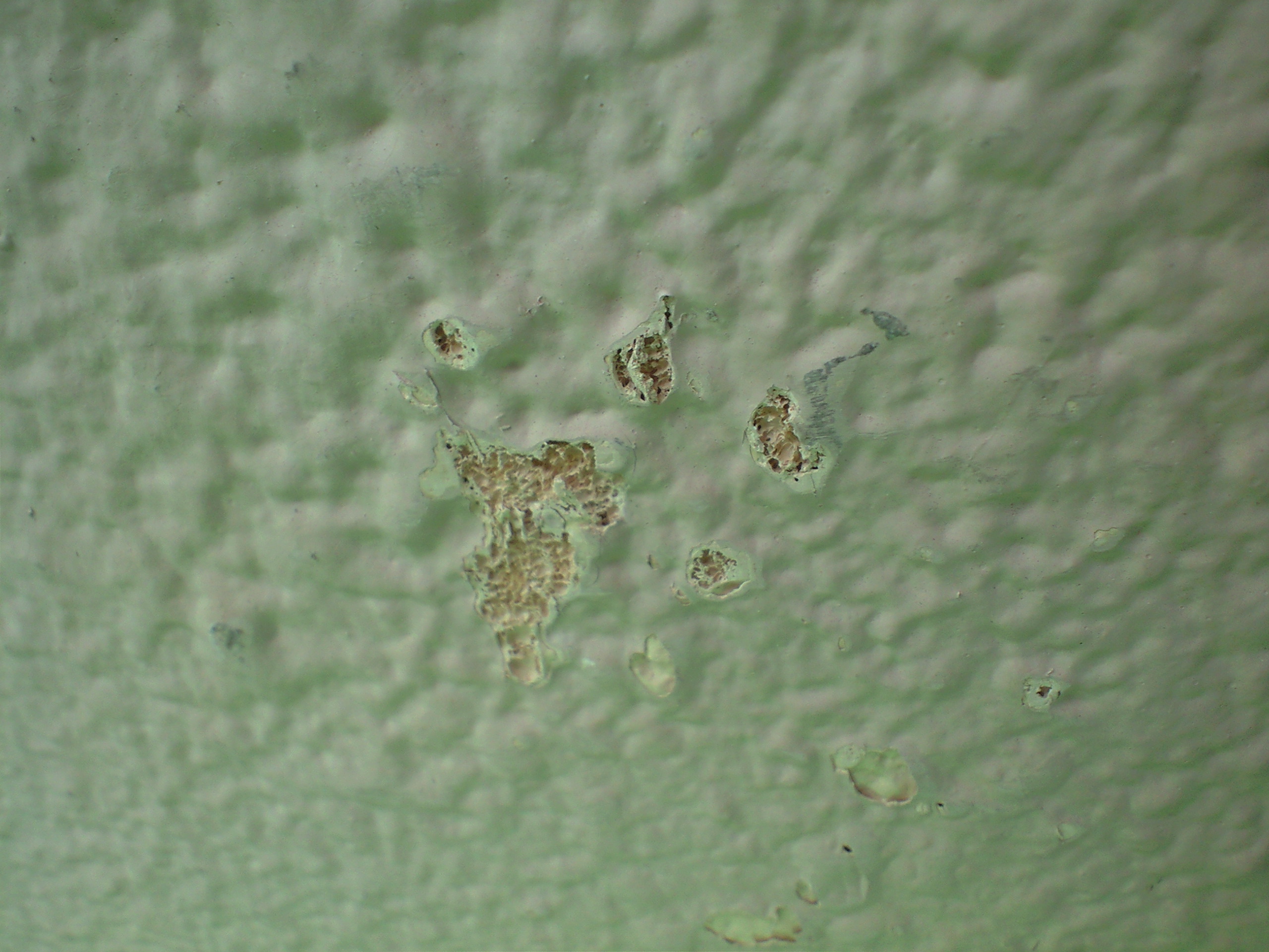 外壁塗装後にプツプツ気泡が出来た場合の対処法
